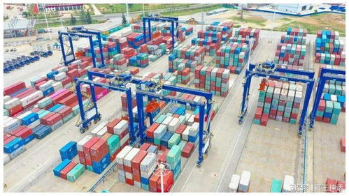 海南前7個月貨物貿易進出口超1300億元，代理服務助力亮眼“成績單”