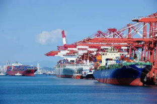 報(bào)關(guān)企業(yè) vs. 進(jìn)出口貨物收發(fā)貨人 理清角色，保障貨物高效通關(guān)